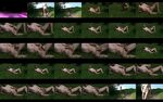 Wiese - Pornos Deutsch - Porn Photos Sex Videos